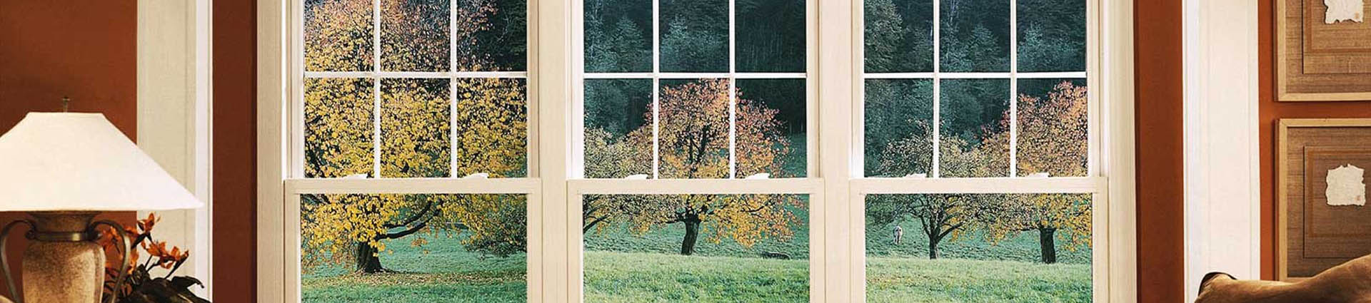 Window Repair Lagrange